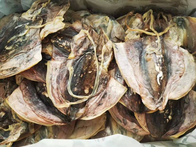 新品東海淡い乾燥イカ干し海産物目魚干しイカ500グラム袋入り|undefined