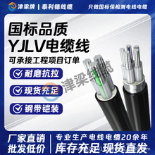 国标YJLV铝芯铠装电缆线3/4/5芯10/16/25平方架空电线地埋电源线