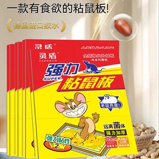 ���l�����N���̏���ճ���Ӵ�Ӻ��������Â}��ճ�����z