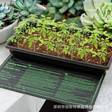 ֲӟ|WհďSҿ羳ˮ|ʯīϩ늟Ĥӟ|