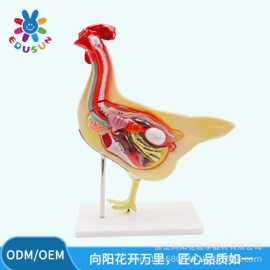 教学仪器;显微镜;生物教学器材