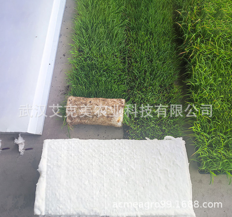 O1CN01SIdLKL2NcGdsb_副本