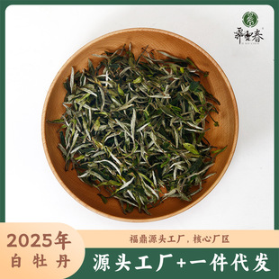 �Vѩ��2025���ؼ���ĵ�����ďS�^Դ�^���S���lĵ���������ײ�ɢ��
