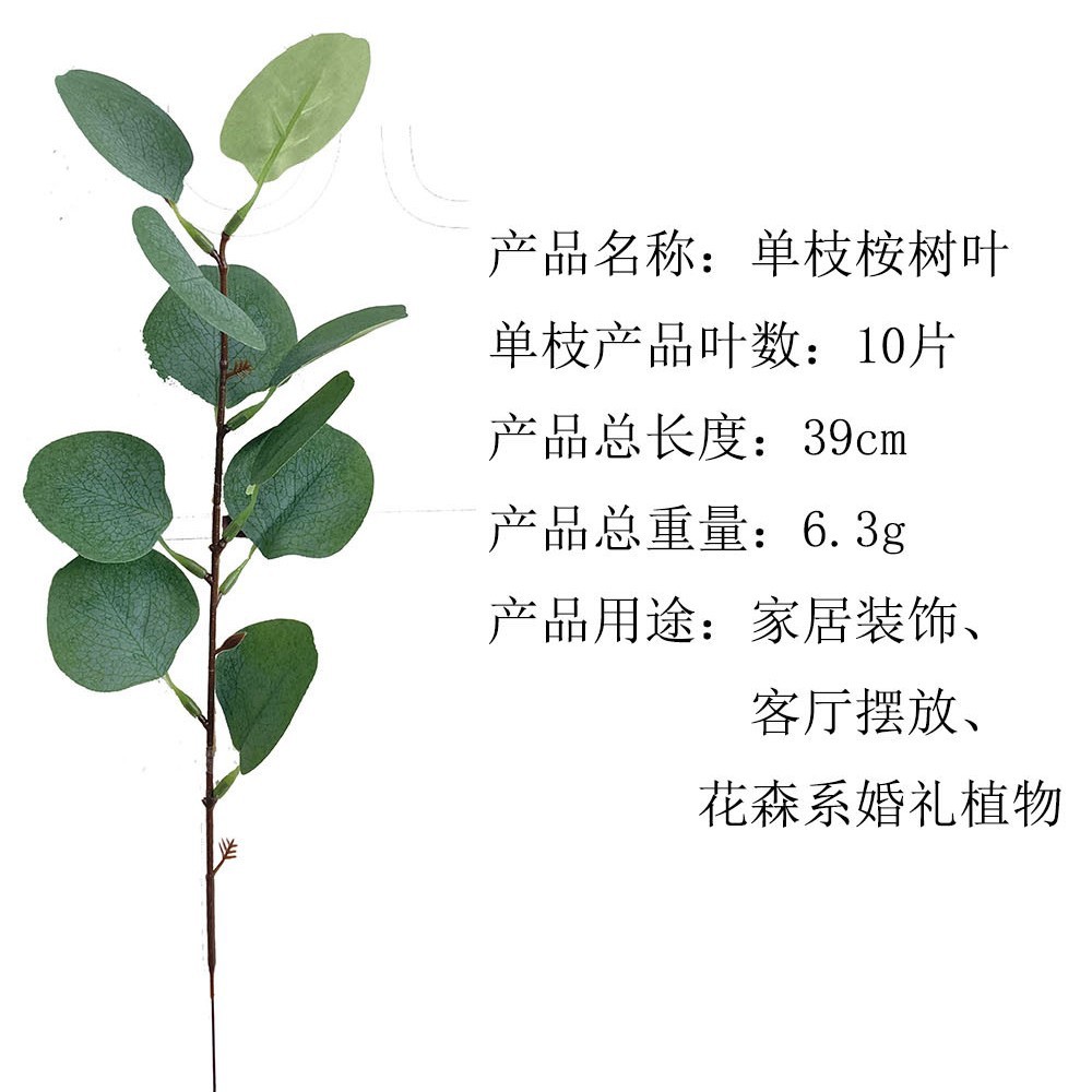 10 잎 39cm