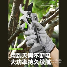 �敳늄���֦�������޼��C��֦�޼�@���늼��ӳ��ʽ늼���