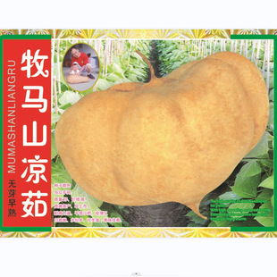 ���Rɽ����ع�ɳ��N�ӻ�����@¶���̨����ͥԺ�����������