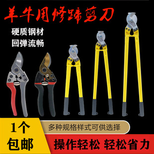 ����������ք��޼��r����ţ������������������Bţ����ָ���Q