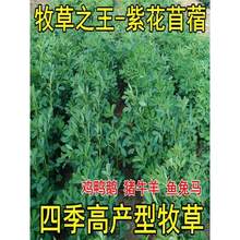 ϻޣݷNѶݷNļBֳιţuZ~ݷN