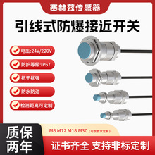 ������24V/220V�����ӽ��_�PMϵ�ЈA��늸�ʽ���ʽ IICT6�z����