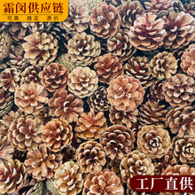 ���]100���ɹ��b��ֹ������ɹ������}�Q�ɹ��ɻ��Ĕz����diy����