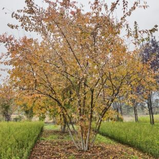 ������l�� �������Ǘ� �������~�G����  4-8��  5-12֦�l ��l��