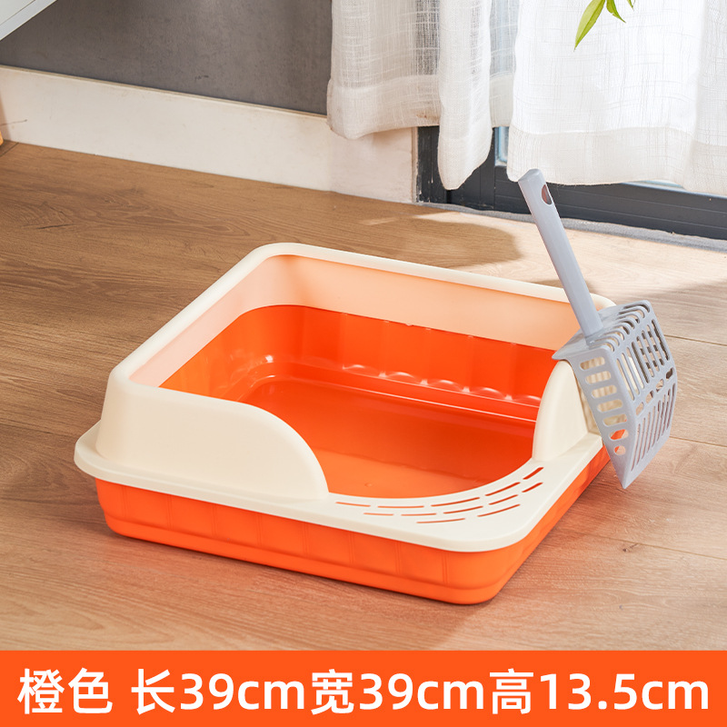 생생한 오렌지