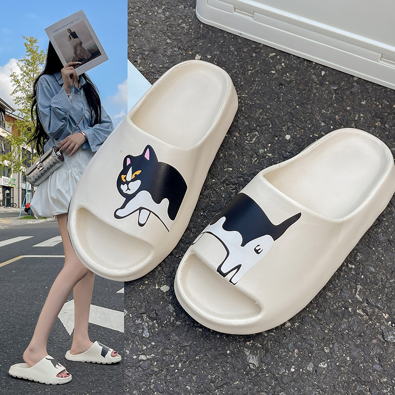 새끼 고양이 흰색