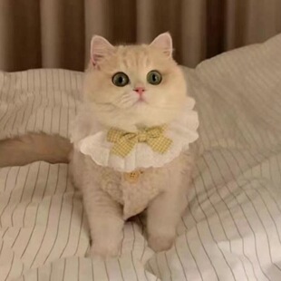 ؈���·���u���ﶬ��ů�R�ױ��Č���ӽq���bС���b���·��