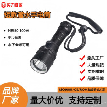 �S��ֱ�N���ⳬ��L2 LED��ˮ��IP68��ˮˮ�������X�Ͻ�������