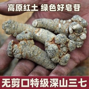 ��ɽ������ș�������ɽ�ؼ��ٷ���Ş���������ߴ��500g20�^