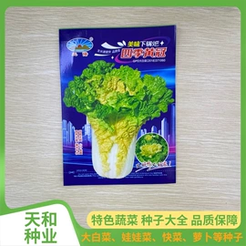 蔬菜种子