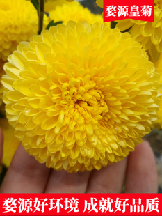 ������Դ�ʾ���Ş����Ʒ�S�նY���خaȥ������ֶY�ͻ�����ջ���