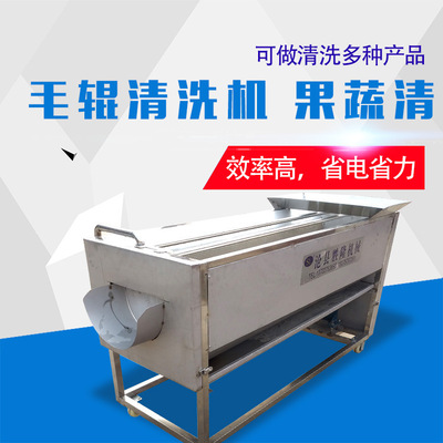 毛輥清洗機 果蔬清洗 適合根莖農作物清洗