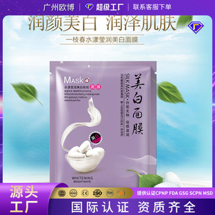 Yizhichun Silk Mask Silk Protein Mask Hydrating Moisturizing Mask Wholesale Facial Skin Care Products