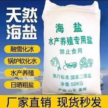 ���}ˮ�a�Bֳ���ô��}���w�����r�\���~���~���B�~�����������I�}