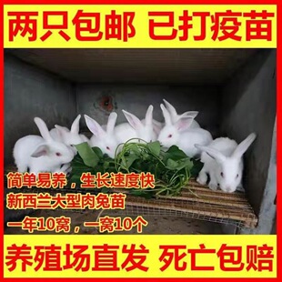 ���ӻ��w������С���ñ����r��������С���ӻ��������ü��B��ֳ��