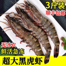 ���r�����̖�ڻ��r�r���r�߹��r���r�ڻ��r3���b�����ͶY