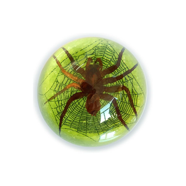 6.4cm semicircle green sand spider