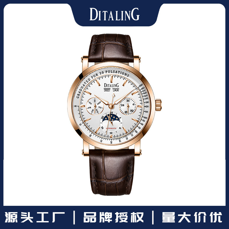 Ditaling Brand Watch Men's Personalized Waterproof Business Retro Luminous Cross-Border Supply Fully Automatic Mechanical Watch