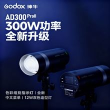 ��ţAD300ProII���������������ӰTTL����ͬ��300W��������