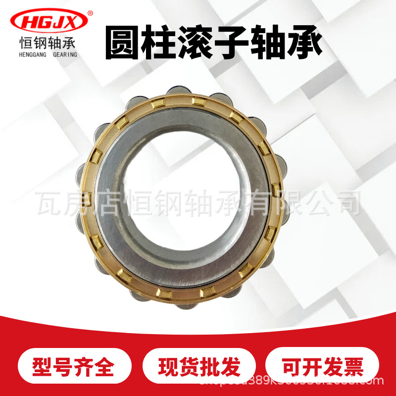 RN206M偏心轴承套摆线针轮减速机轮RN307单列圆柱滚子RN309 RN205