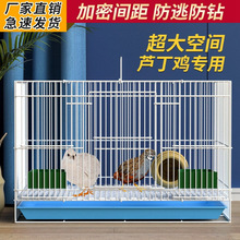 �B�J���u�\����B�\�����҃ȴ�̖�r�u�r��С��С�u����\����