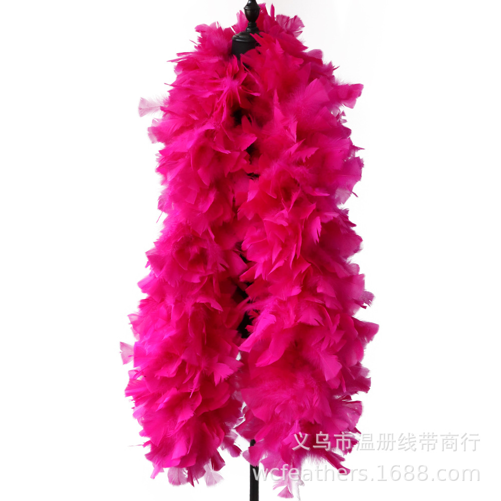 温册平板毛条羽毛拍摄道具T台走秀装饰羽毛条节日装扮服装辅料详情图6