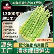 吉食道500g绿笋尖高山翡翠笋火锅串串食材春笋竹笋子商用整箱批发