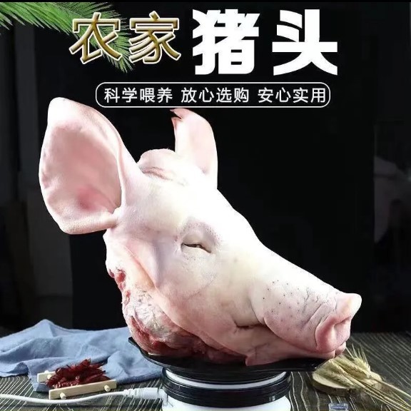 顺丰包邮新鲜猪头整只新鲜现杀带耳朵猪脸猪头肉猪脑壳生猪头批发-阿里巴巴