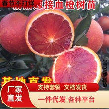 �ؑc�L�ۺ����_��Ѫ�Ș���޽�������Ә����ϱ���ͥԺ���Թ�����