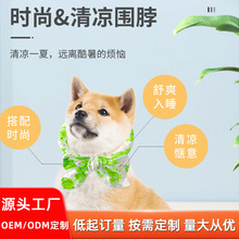 �ļ���ͨ��������� ؈�乷�����،������ ���������������