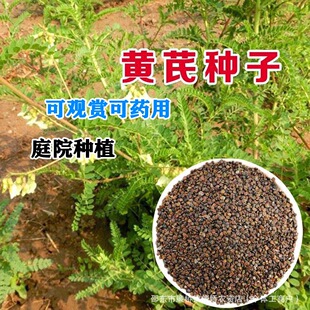 �S�ηN�����l���|ș�ķN���S�ηN�Ӯ����²�ș���S�ηNҰ���˷N��