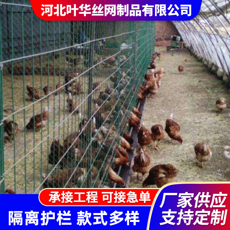 养殖网现货家用养殖养鸡护栏围栏网厂家定制养鸭专用栅栏荷兰网