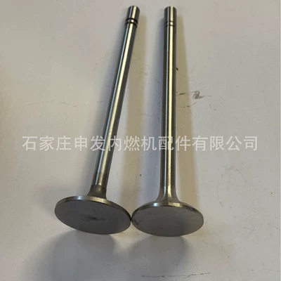 In stock: Carter C10 intake valve 1570672, exhaust valve 1570671