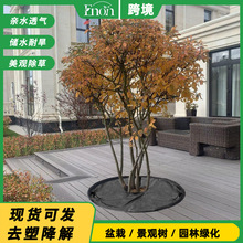 跨境可降解花园杂草屏障布重型园林景观布盆景地面无纺布防草布