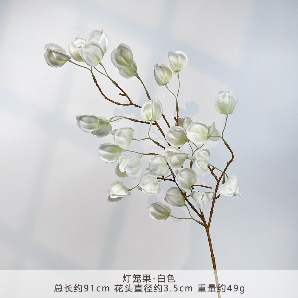K-灯笼果-白色
