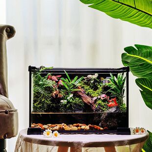 �͞�������̦�\�����ؾ����Bƿ�����k��������[��΢�^�쾰ȫ��