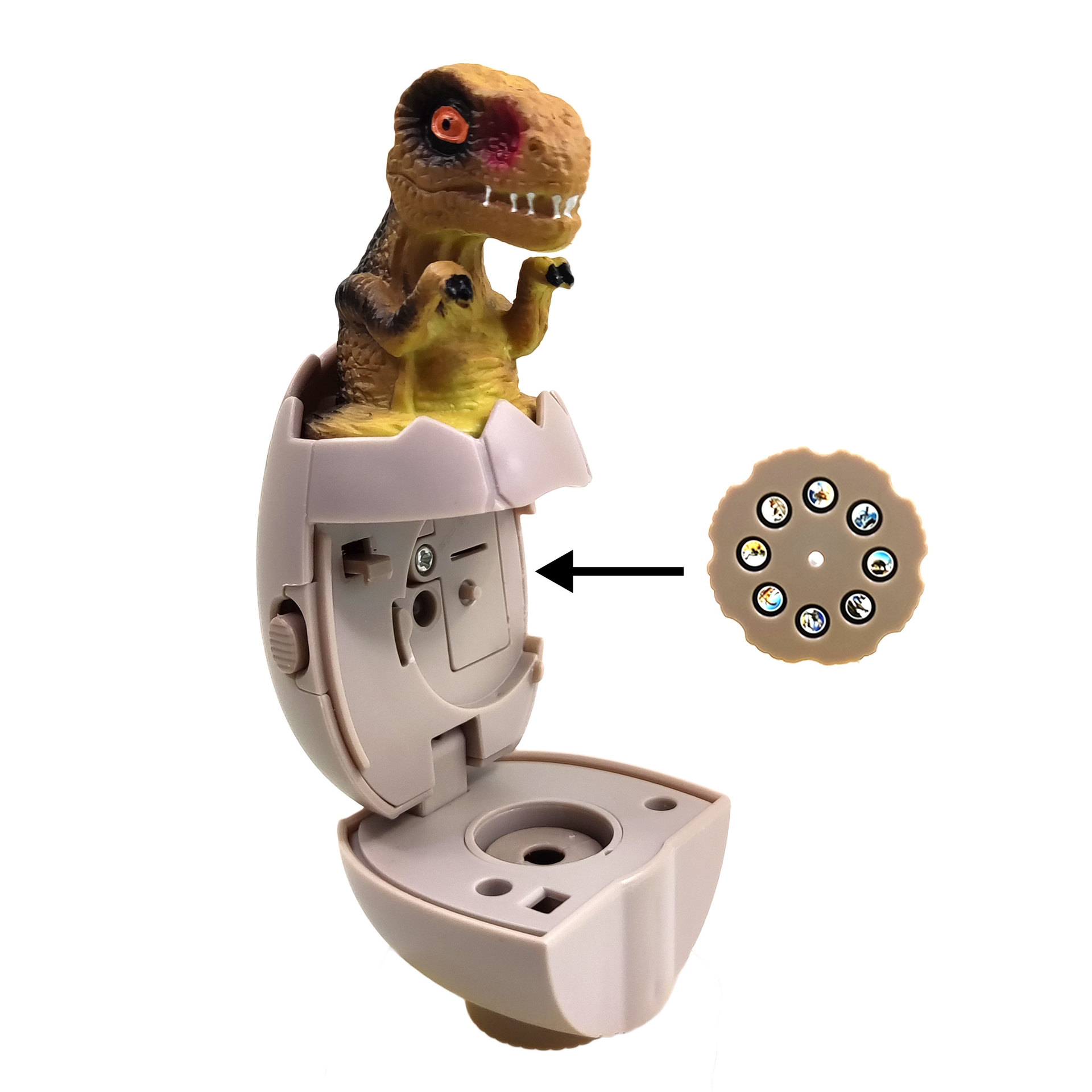 Nuevos niños Qizhi ciencia y educación juguetes 24 sombra multifunción dinosaurio huevo proyección linterna proyector 2-en-1