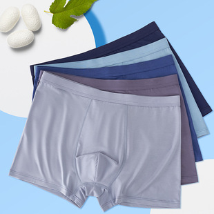 10A antibacterial mulberry silk men's underwear ice silk breathable solid color boxer underwear men
