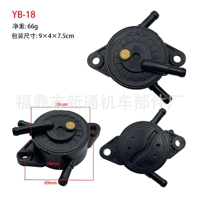 Other starting systems – Briggs & Stratton fuel - yb-18