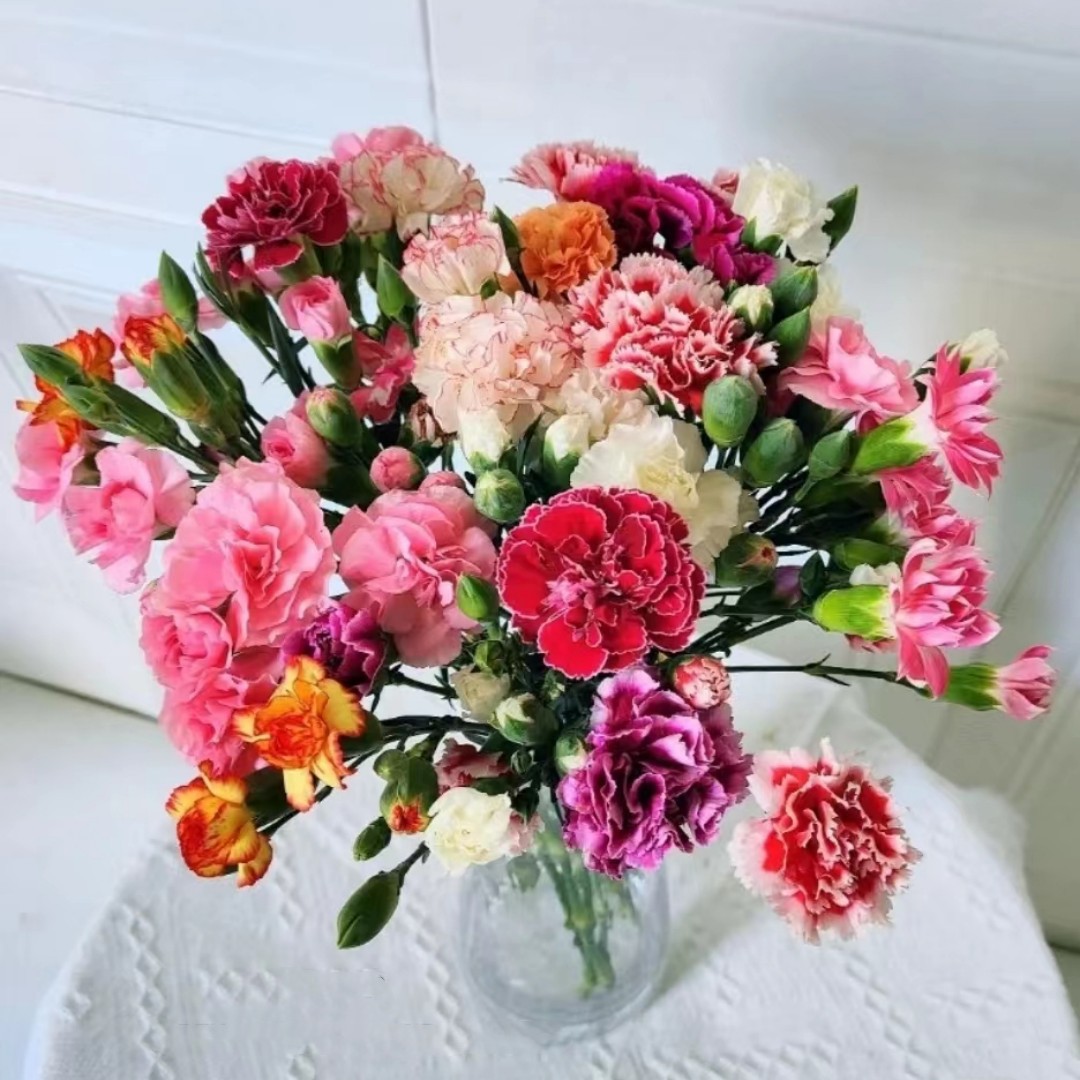 微信图片_20230214211054_副本