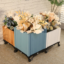 ����ľ��������M�ϷNֲ����ͥԺ�L���΃�ˮľ���������Ƅӎ�݆