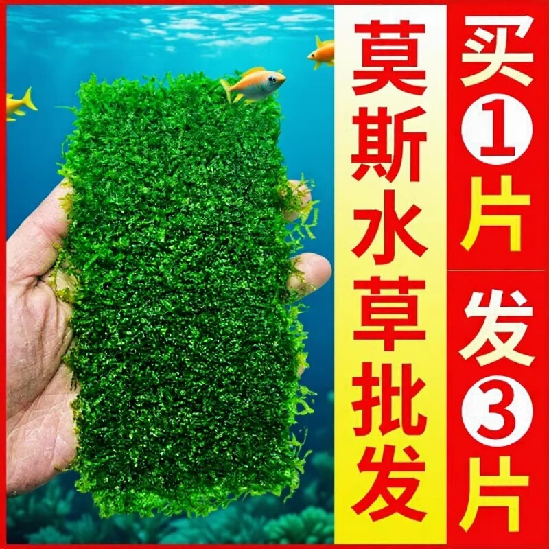 Fish Tank Moss Aquatic Plant Live Mousse Sheet Bulk Moss Tree Ball Sunken Wood Large Triangle Weeping Foreground Landscaping