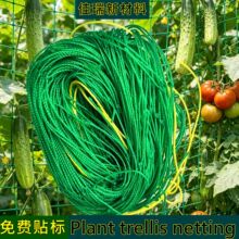 跨境绿色园艺网植物爬藤网花卉定植网瓜果攀爬网豆角支架尼龙网